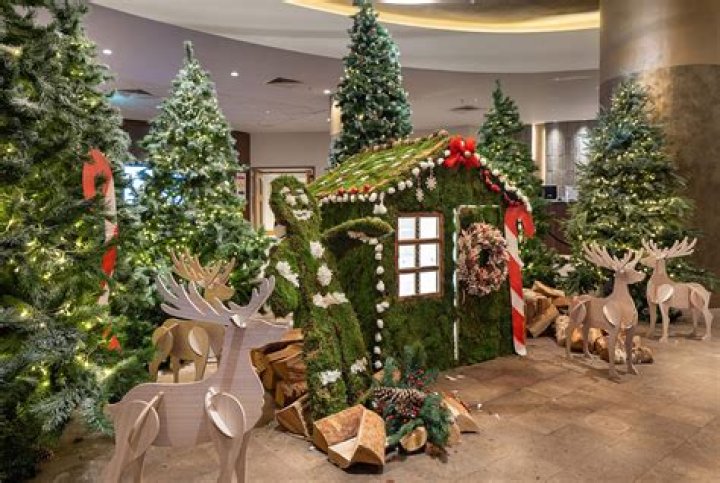 2018 “Light up the Season” | Tony Powell