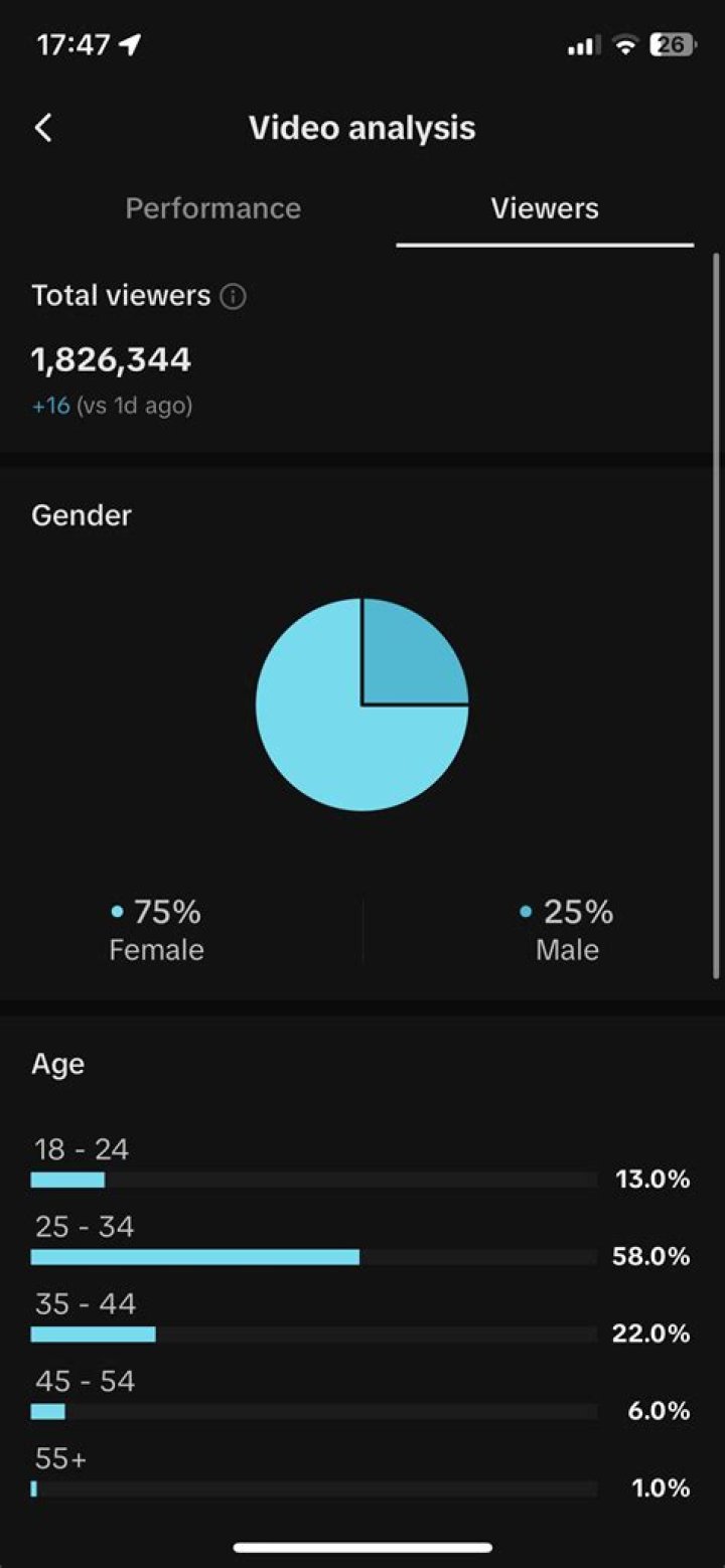 MSmobile Youtuber overview